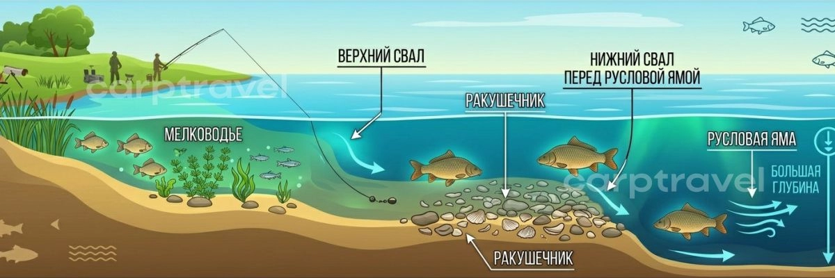 Перспективные точки в июне: верхняя бровка, ракушечник, нижняя бровка перед русловой ямой Перспективные точки в июне: верхняя бровка, ракушечник, нижняя бровка перед русловой ямой