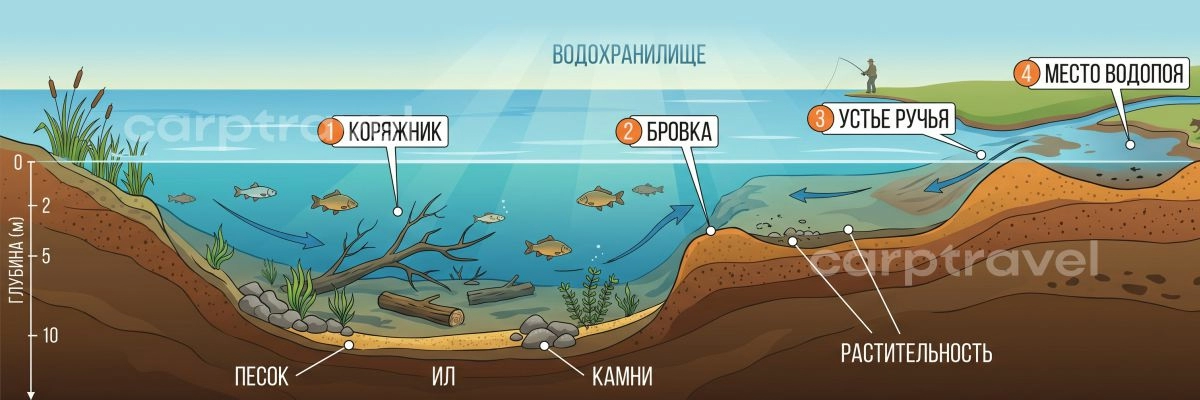 Типичные весенние точки стоянок сазана на реке
