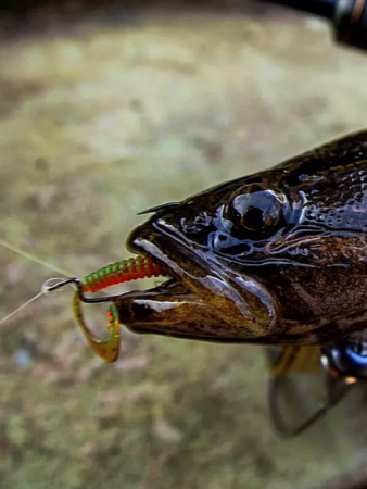 Крючок офсетный  Рыболовная империя Fish_Emp OFFSET Size 5 0 Никель 5шт